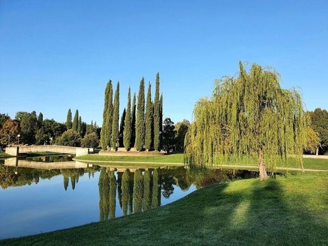 Il laghetto e i salici del Parco di Villa Severi